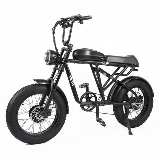 Baojulie DP2008 Vintage Bike - KOZIET