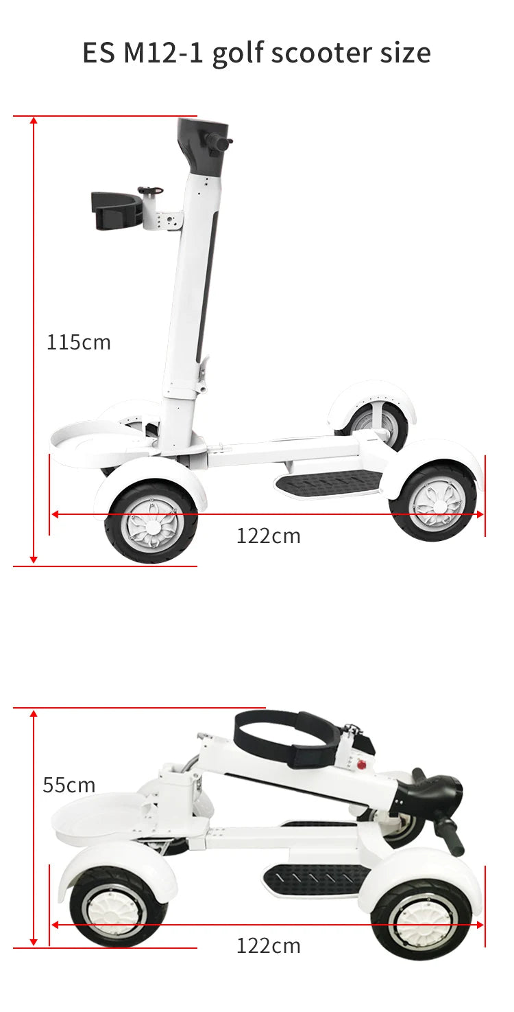 Electric Buggy 2000W Golf Scooter