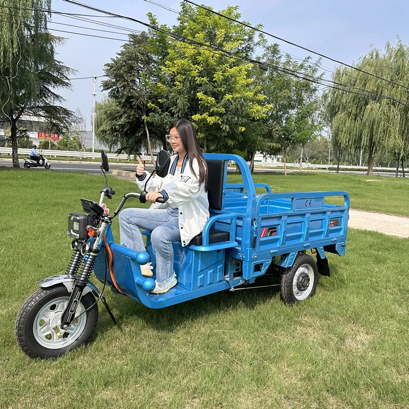 Tuk-tuk Electric Cargo Tricycle