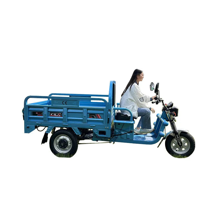 Tuk-tuk Electric Cargo Tricycle