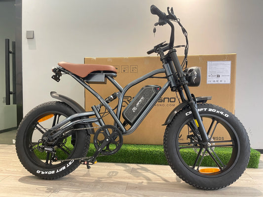 Electric Bike Removable battery Fat Tire 20"*4 Off Road Mountain