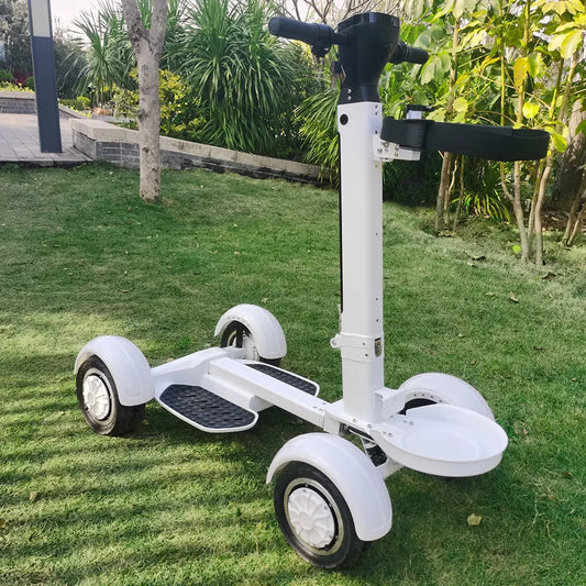 Electric Buggy 2000W Golf Scooter