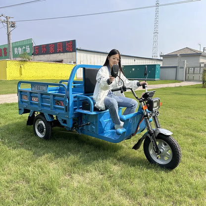 Tuk-tuk Electric Cargo Tricycle