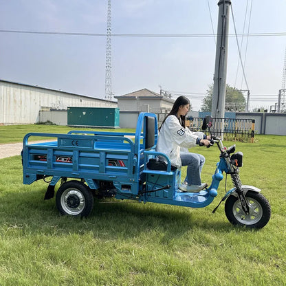 Tuk-tuk Electric Cargo Tricycle