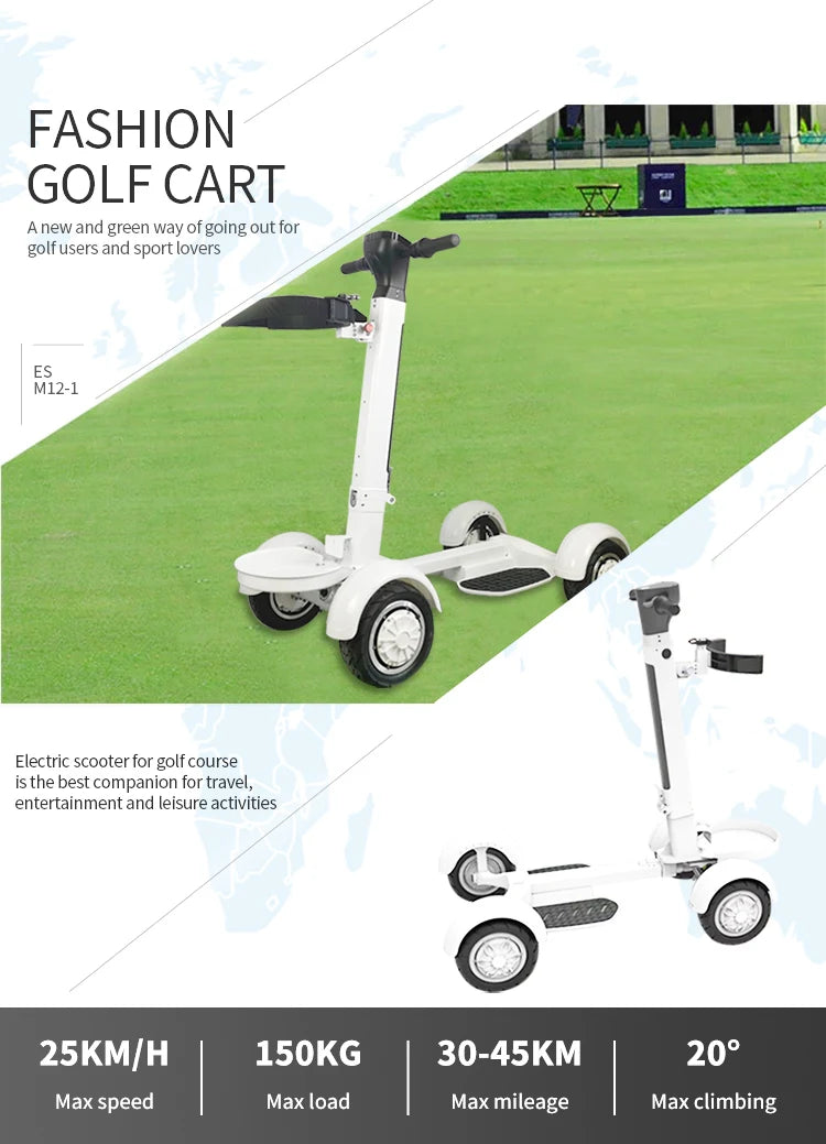 Electric Buggy 2000W Golf Scooter